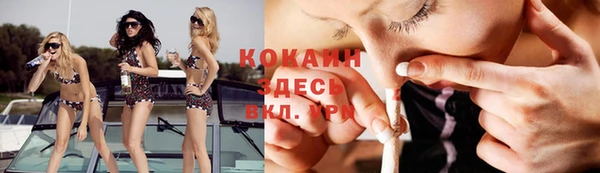 прущий лед Тында