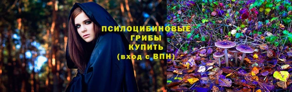 прущий лед Тында