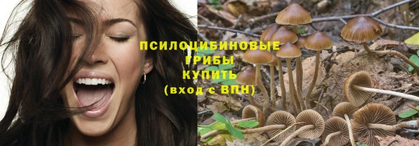 прущий лед Тында