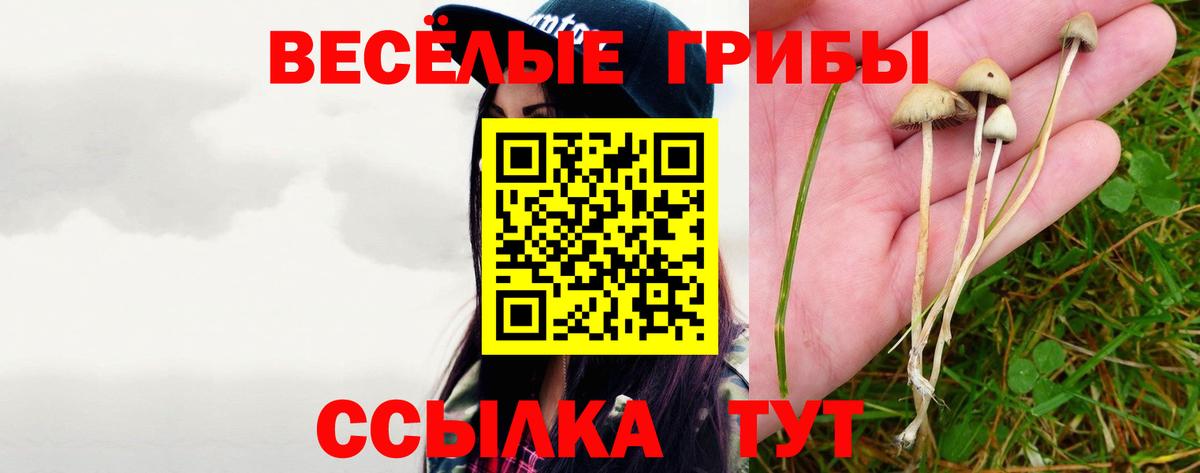 Галлюциногенные грибы ЛСД  как найти   Миасс  Псилоцибиновые грибы GOLDEN TEACHER 