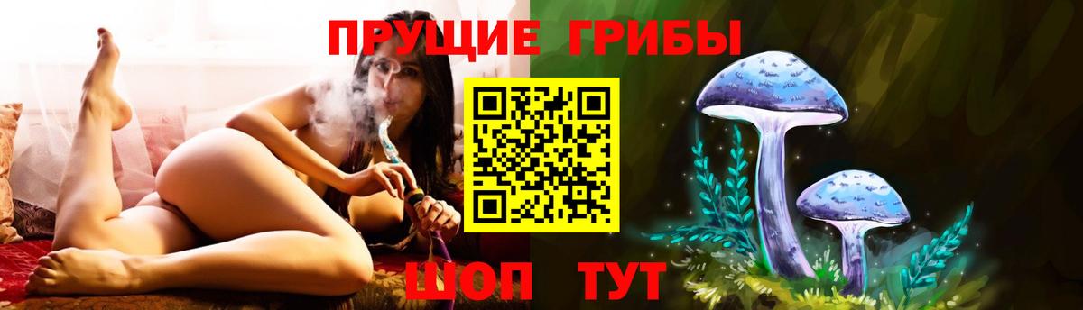 Миасс  купить наркоту  Галлюциногенные грибы Cubensis  Вход с VPN  Галлюциногенные грибы GOLDEN TEACHER 